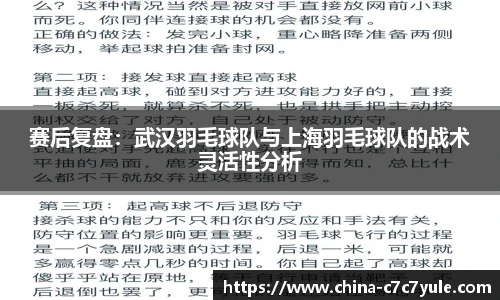 赛后复盘：武汉羽毛球队与上海羽毛球队的战术灵活性分析