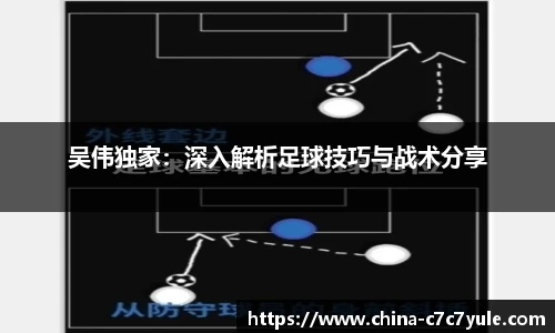 吴伟独家：深入解析足球技巧与战术分享